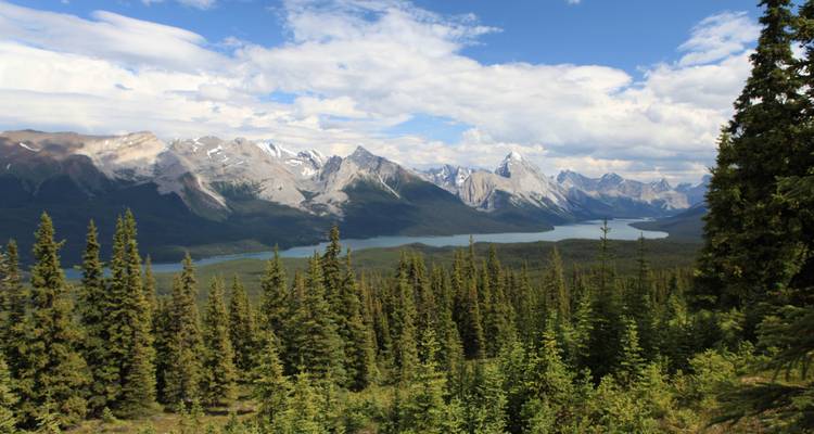 Trek dans les Rocheuses canadiennes et excursion en canoë - Timberwolf Tours Ltd. 1