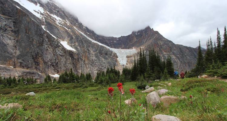 Trek dans les Rocheuses canadiennes et excursion en canoë - Timberwolf Tours Ltd. 7