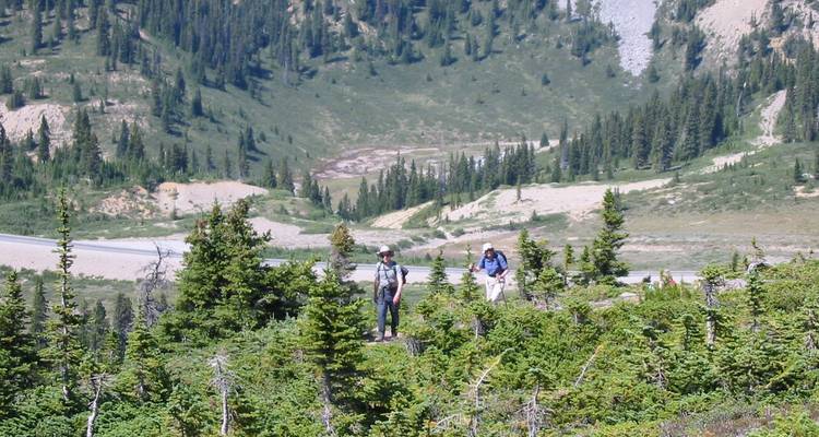 Le meilleur de Banff et Jasper, Campingtour - Timberwolf Tours Ltd. 2