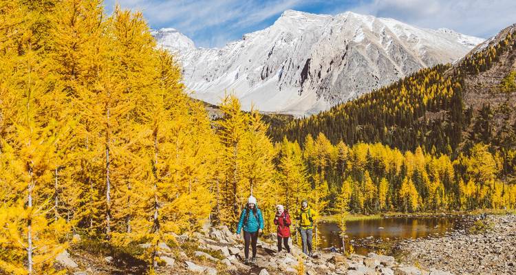Le meilleur de Banff et Jasper, Campingtour - Timberwolf Tours Ltd. 7