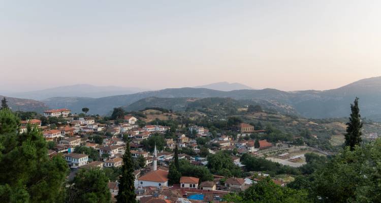 Vue panoramique d'une ville à flanc de colline avec des maisons et des arbres dispersés.