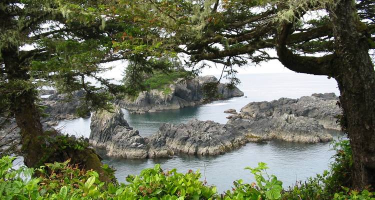 Des Rocheuses à l'île de Vancouver - Timberwolf Tours Ltd. 10