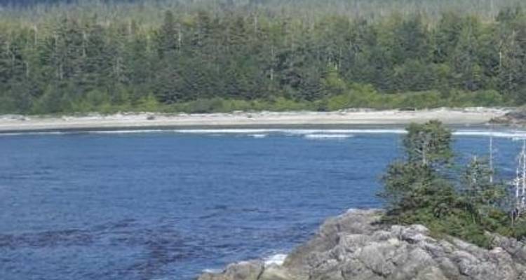Des Rocheuses à l'île de Vancouver - Timberwolf Tours Ltd. 4