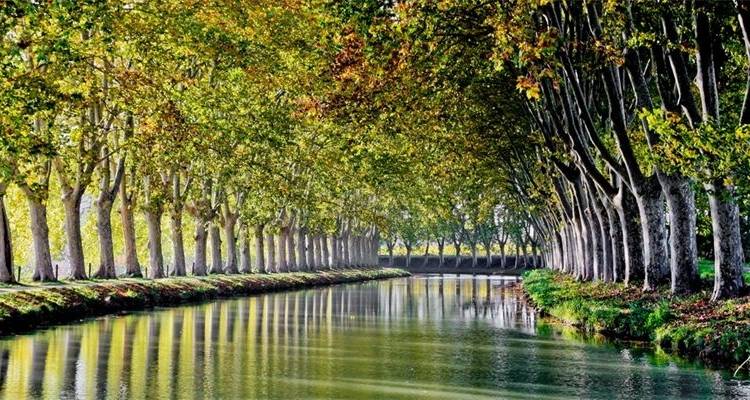 Languedoc Canal du Midi, Carcassonne to Sete - Discover France Adventures 1