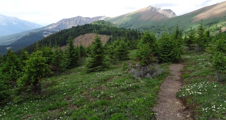 Senderismo y canotaje - mezcla de hotel y campamento - Timberwolf Tours Ltd. 2