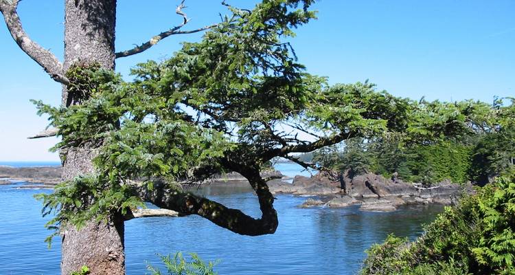 Hiking and Kayak on Vancouver Island - Timberwolf Tours Ltd. 3