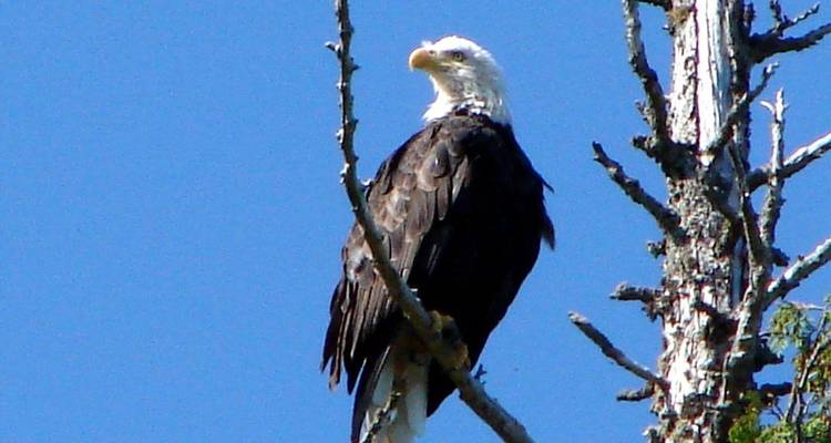 Western Round Trip with Local Flavour - Timberwolf Tours Ltd. 6