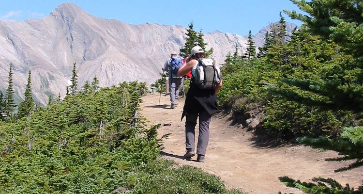 Western Round Trip with Local Flavour - Timberwolf Tours Ltd. 10