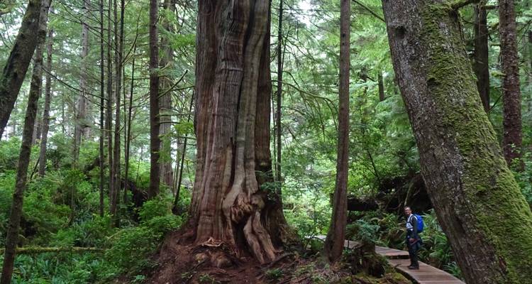 Explorer l'île de Vancouver - Timberwolf Tours Ltd. 8