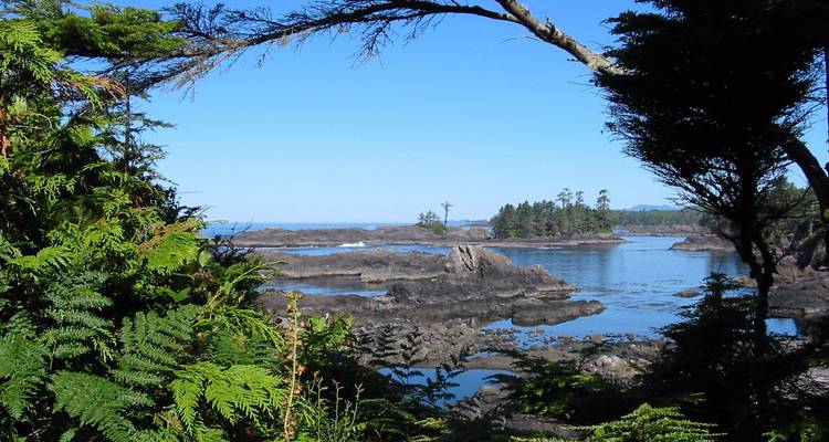 Explorer l'île de Vancouver - Timberwolf Tours Ltd. 10