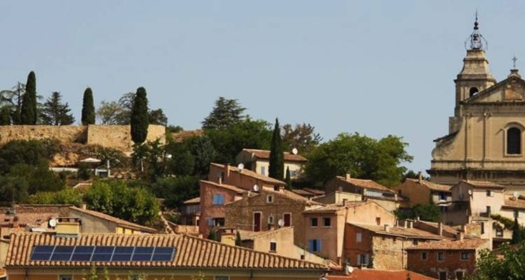 Provence Lavender Fields and Vineyards - Discover France Adventures 7