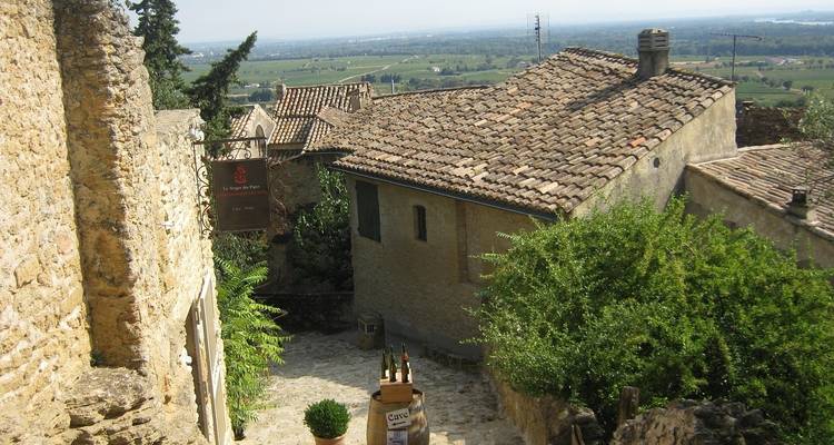 Provence Lavender Fields and Vineyards - Discover France Adventures 2