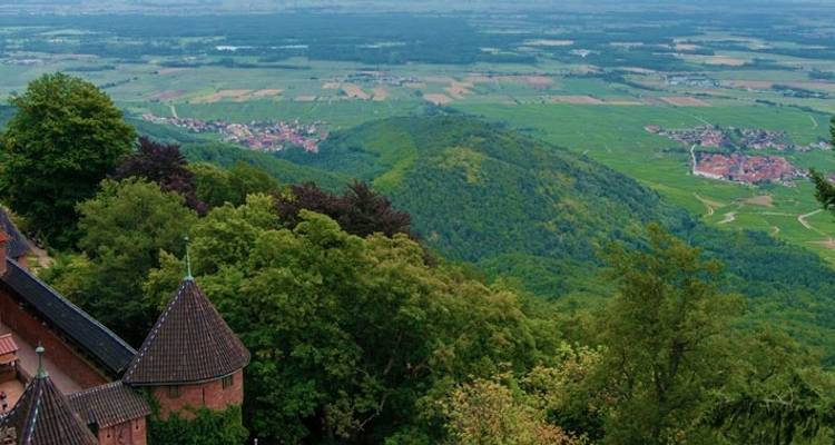 Senderismo en Alsacia - Discover France Adventures 1