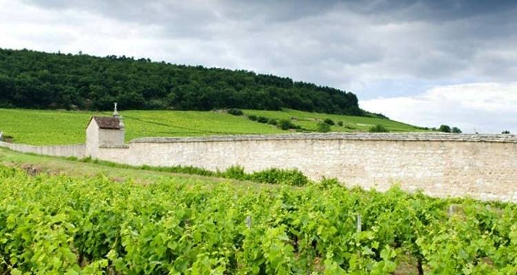 Visite à pied de la Bourgogne - Discover France Adventures 7