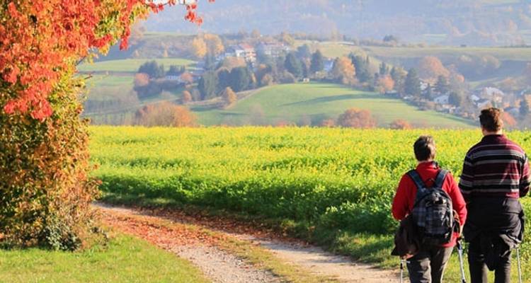 Visite à pied de la Bourgogne - Discover France Adventures 3
