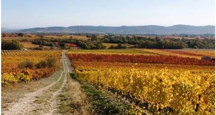 Randonnée en Provence : Les Baux de Provence et Gordes - Discover France Adventures 5