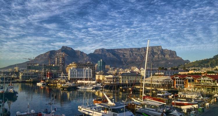 Gorilas a Ciudad del Cabo - Absolute Africa 7