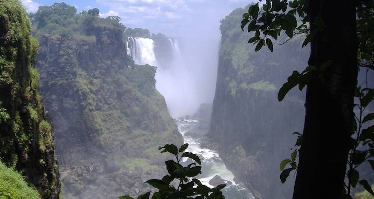 Los perros salvajes y las cataratas Victoria - Absolute Africa 9