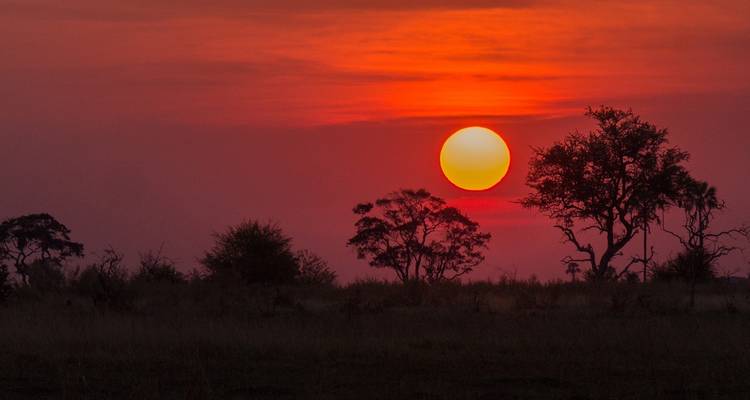 Safari au Botswana - Absolute Africa 9