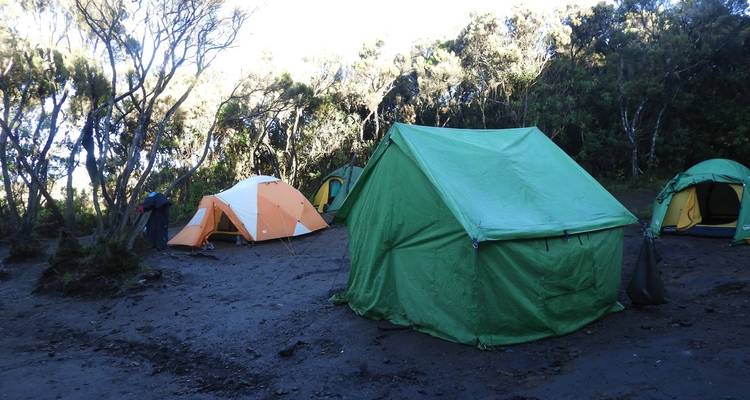 Escalada al Kilimanjaro ruta Rongai 7 días *todo el alojamiento y los traslados incluidos*. - Zara Tours (Zara Tanzania Adventures) 6