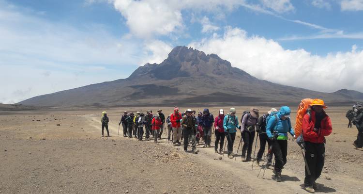 Escalada al Kilimanjaro ruta Rongai 7 días *todo el alojamiento y los traslados incluidos*. - Zara Tours (Zara Tanzania Adventures) 8