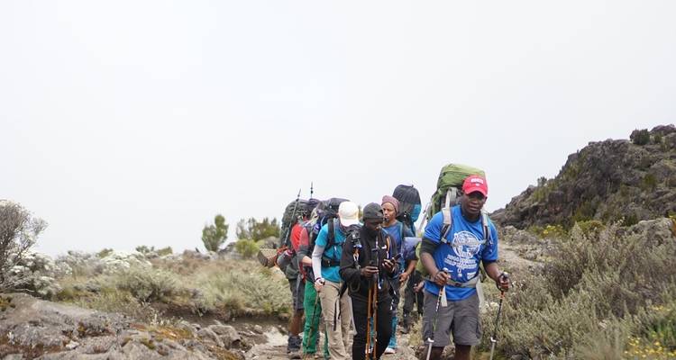 Escalada al Kilimanjaro ruta Rongai 7 días *todo el alojamiento y los traslados incluidos*. - Zara Tours (Zara Tanzania Adventures) 4
