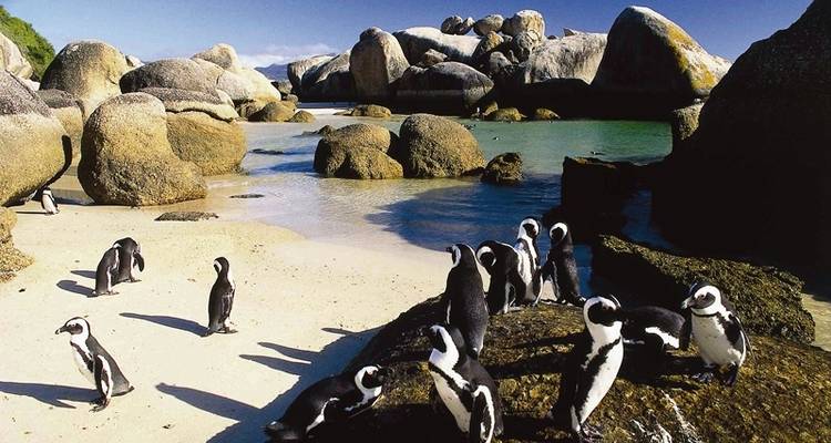 Le Cap et la Route des jardins - Exodus Adventure Travels 4