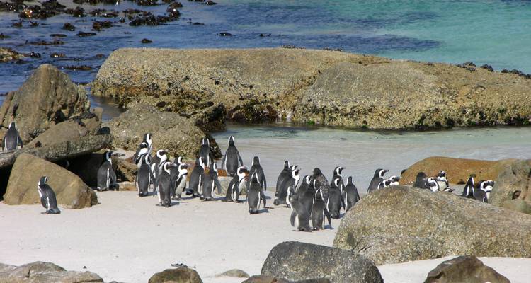 Le Cap et la Route des jardins - Exodus Adventure Travels 9