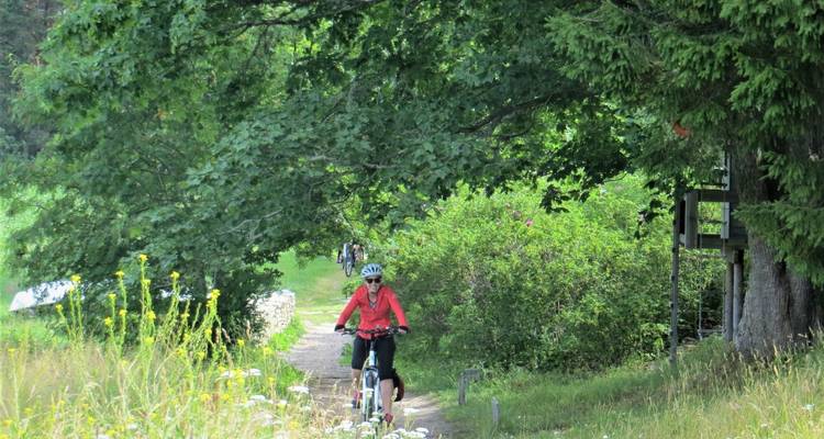 Faire du vélo dans les pays baltes - Exodus Adventure Travels 10