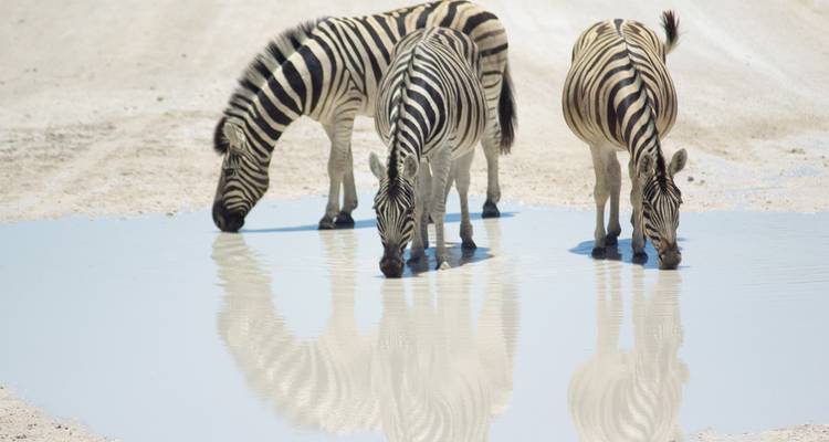 Cyclisme en Namibie - Exodus Adventure Travels 1