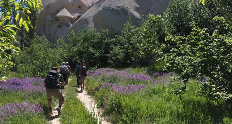 Wanderer auf einem Pfad, der von Wildblumen und üppigem Grün umgeben ist.