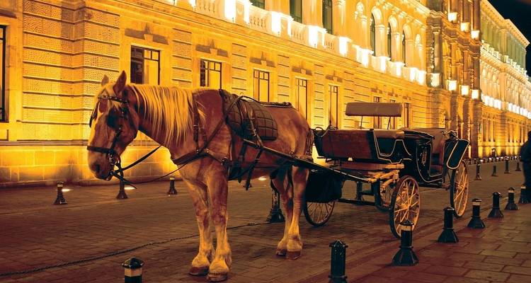 Horse-drawn carriage at night.