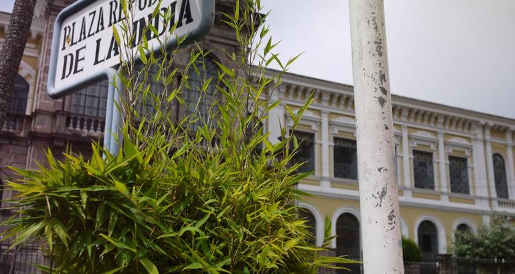 Sign next to lush vegetation with historic building in the background.