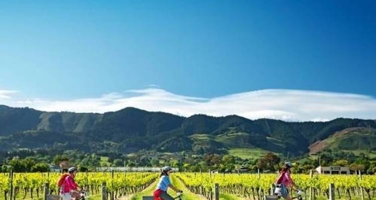 Great Taste Trail et; Beyond, Bike, Hike et; Sail - vélo, Trek et voile - Adventure South 2