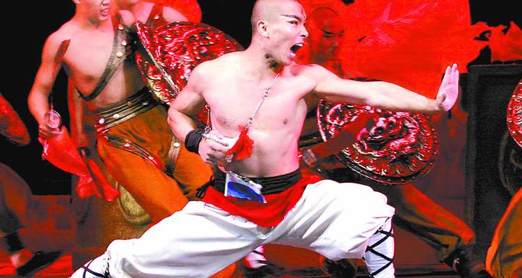 Actuación de artes marciales con enfoque en posturas dinámicas.