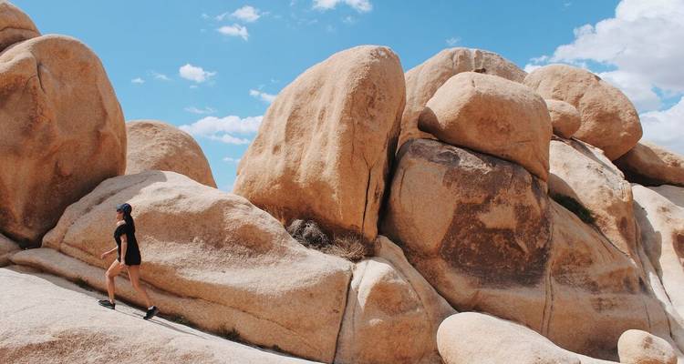 Wild Western USA - Intrepid Travel 1