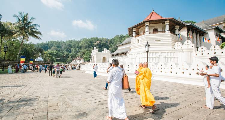 Classic Sri Lanka (5 destinations) - Intrepid Travel 8