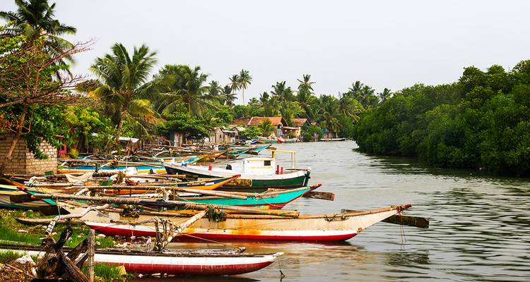 Classic Sri Lanka (5 destinations) - Intrepid Travel 3