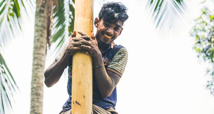 Classic Sri Lanka (5 destinations) - Intrepid Travel 7