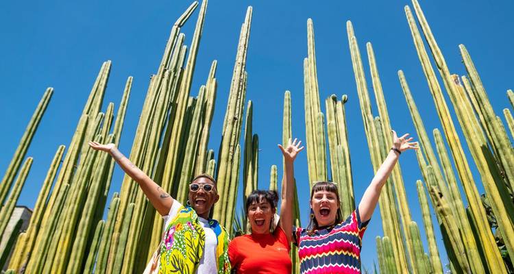 Tres turistas alegres posando con los brazos levantados entre columnas altas de cactus contra un cielo azul despejado.