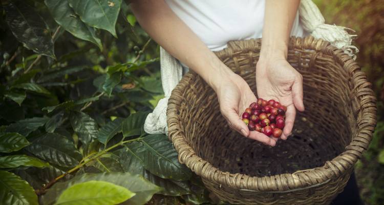 Costa Rica Family Experience - G Adventures 6