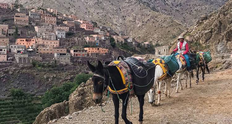 Trek du Mont Toubkal - Intrepid Travel 6