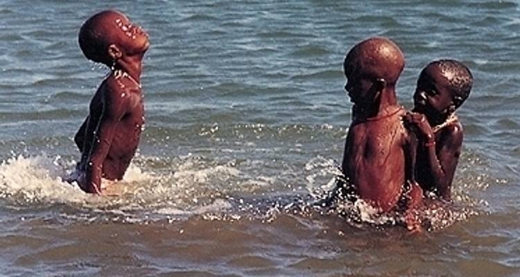 Rivières d'Afrique - Absolute Africa 5