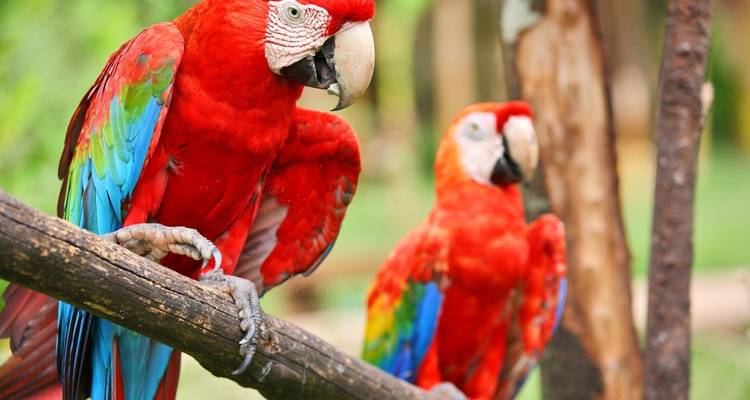 Costa Rica : vacances en famille avec des adolescents - Intrepid Travel 2