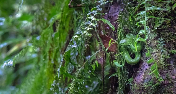 Costa Rica : vacances en famille avec des adolescents - Intrepid Travel 4