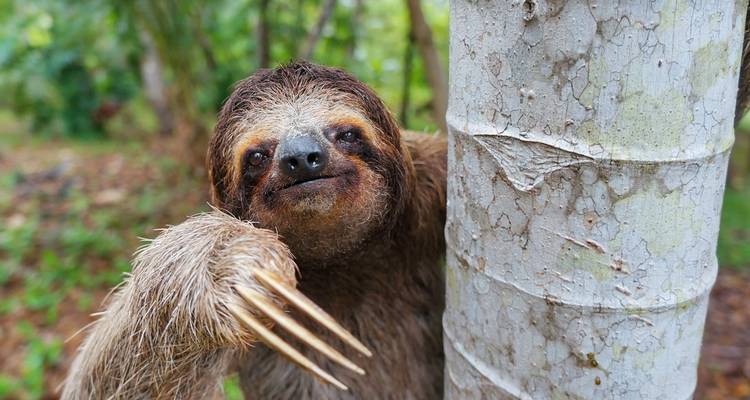 Costa Rica : vacances en famille avec des adolescents - Intrepid Travel 6