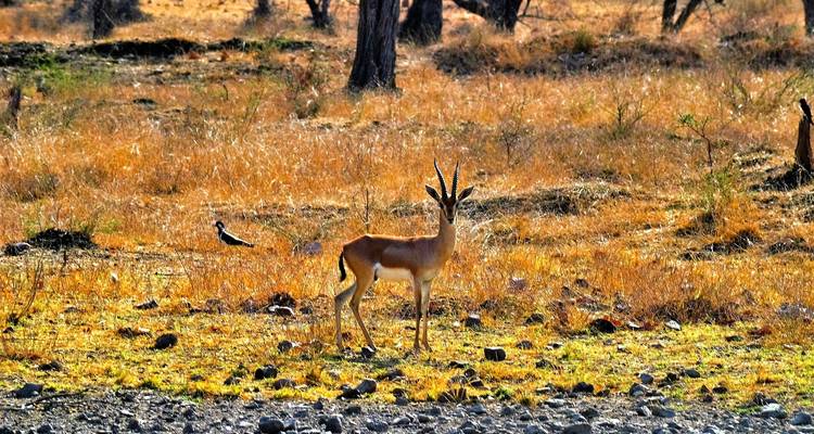 Vacances en famille en Inde du Nord (including New Delhi) - Intrepid Travel 5