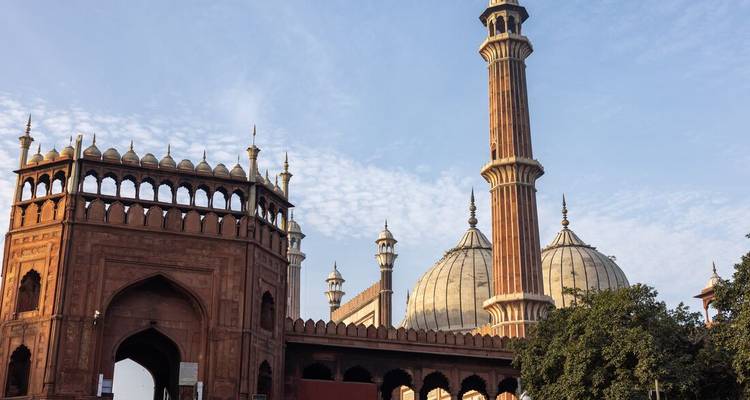 Northern India Family Holiday (including New Delhi) - Intrepid Travel 3