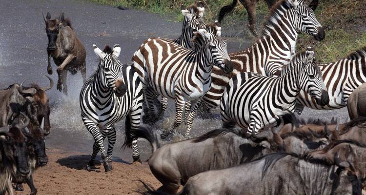 Safari familiar en Kenia - Intrepid Travel 4