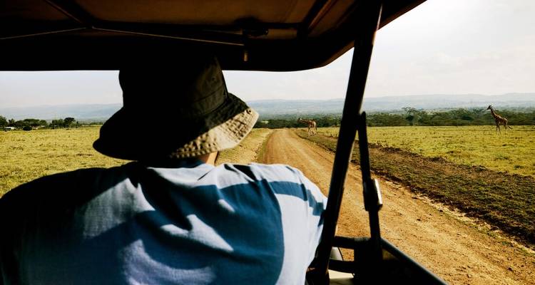 Persona en un vehículo de safari observando la vida silvestre en un camino de tierra.